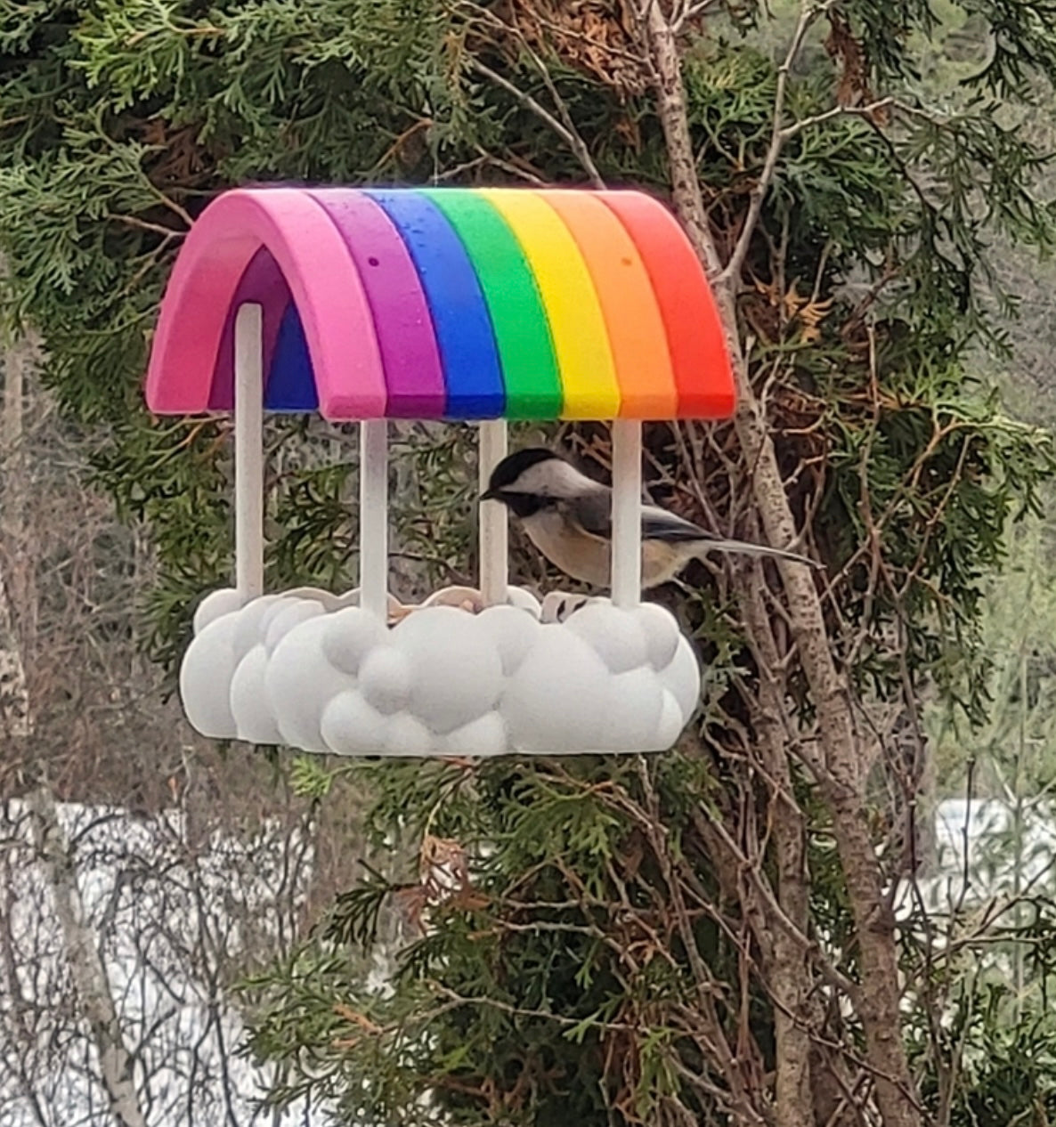 Bird Feeder, Rainbow Cloud
