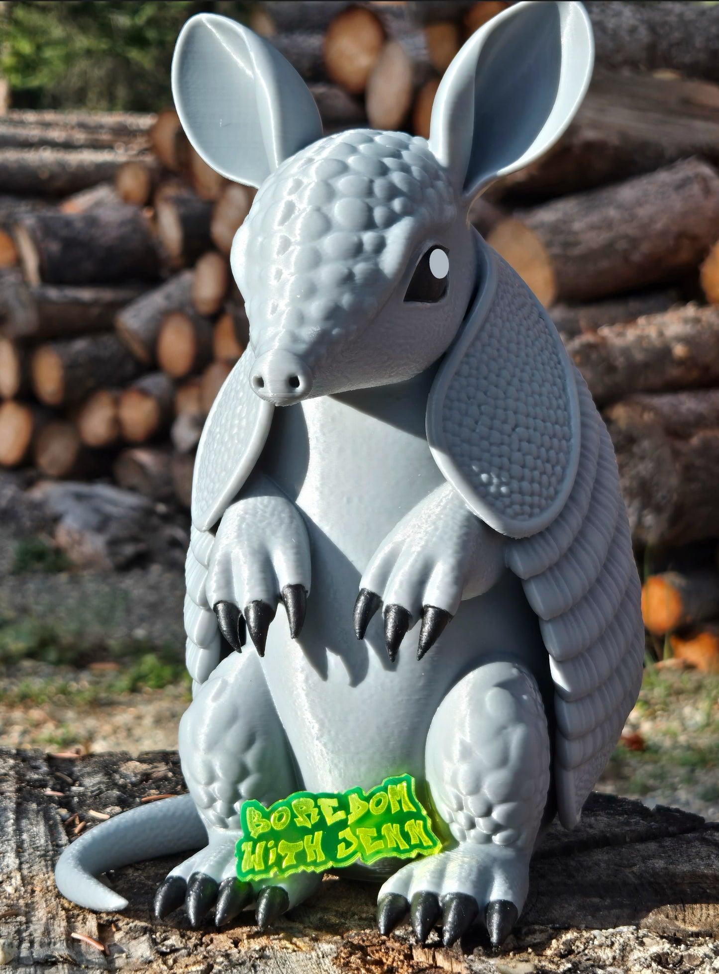 Armadillo , Mudroom Frens, 3d Printed Porch and Desk Animals