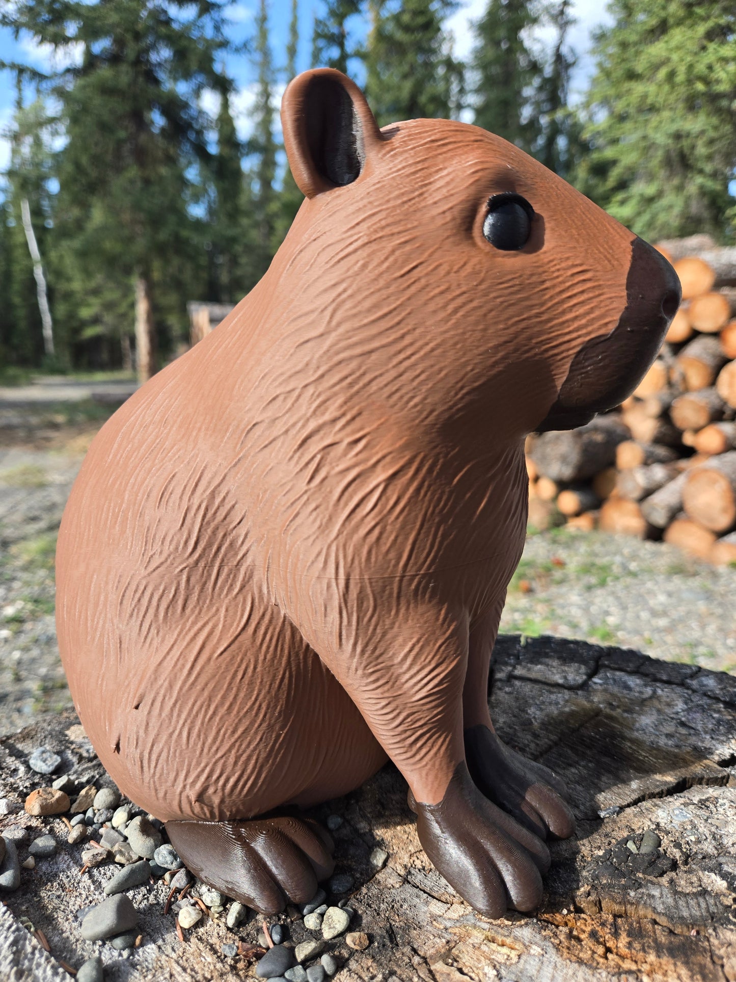 Capybara, Mudroom Frens, 3d Printed Porch and Desk Animals