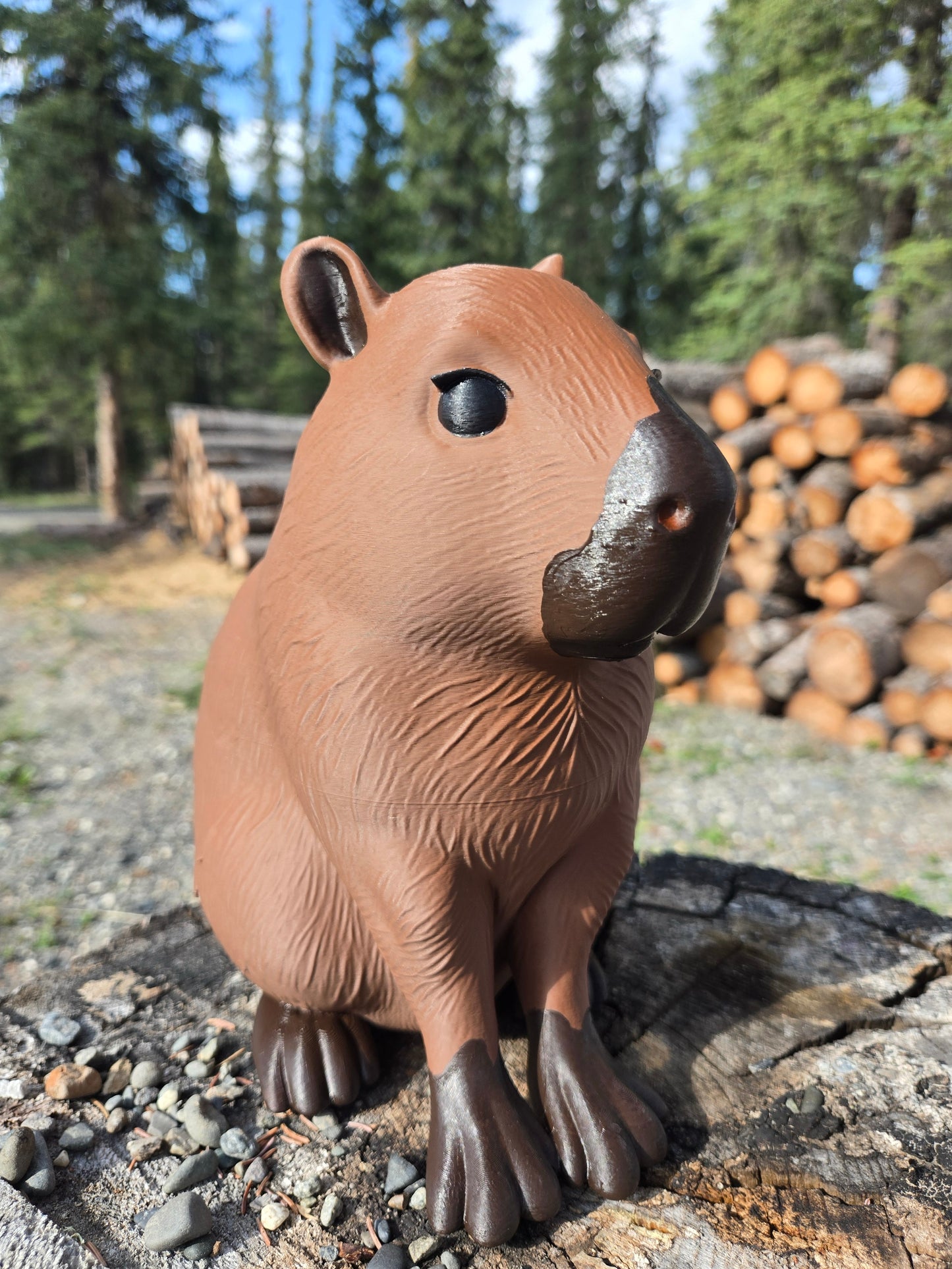 Capybara, Mudroom Frens, 3d Printed Porch and Desk Animals