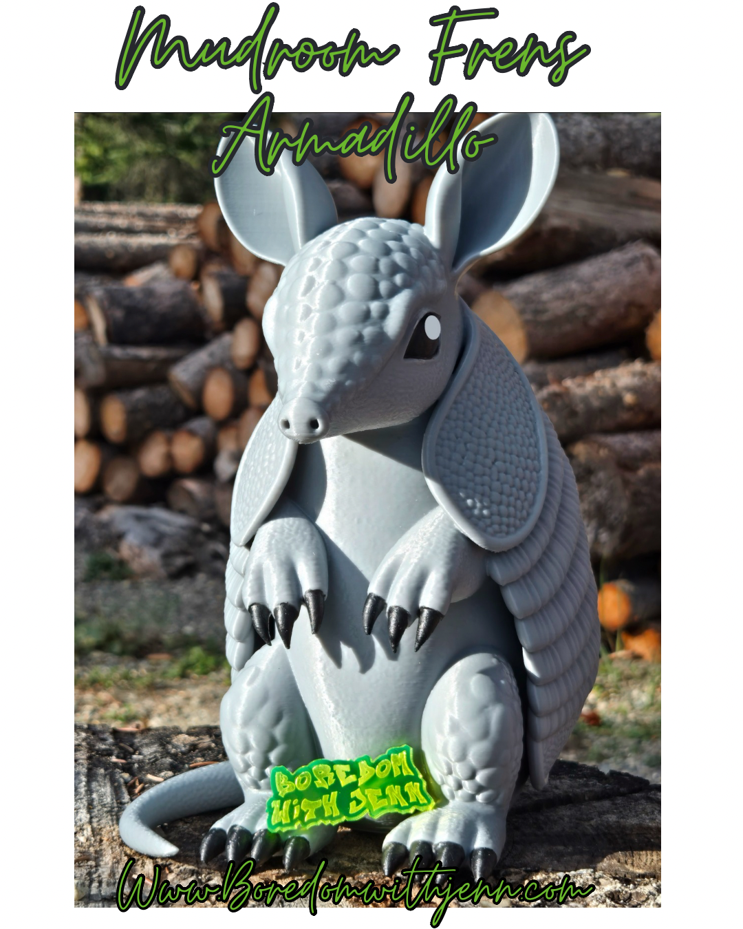 Armadillo , Mudroom Frens, 3d Printed Porch and Desk Animals