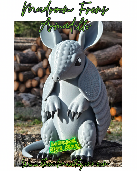 Armadillo , Mudroom Frens, 3d Printed Porch and Desk Animals
